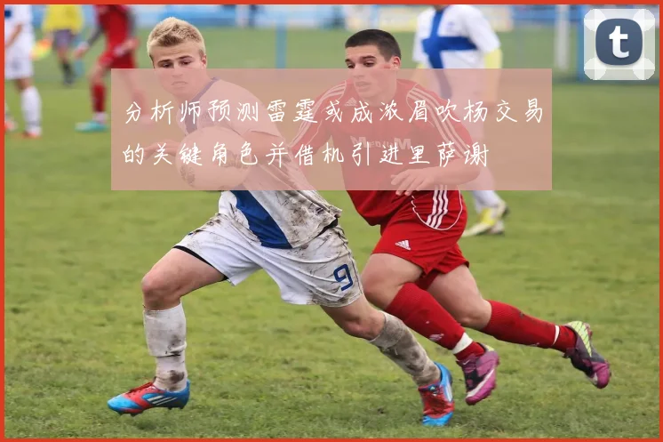分析师预测雷霆或成浓眉吹杨交易的关键角色并借机引进里萨谢