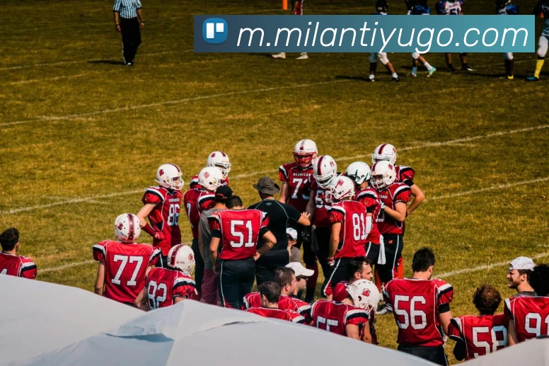 米兰体育平台生态图