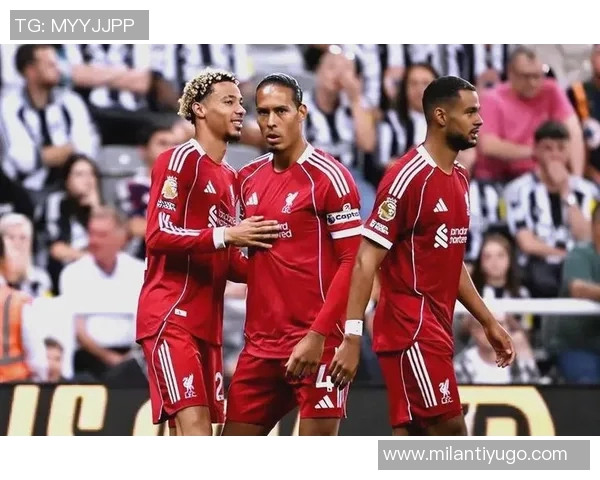 英超六队欧冠战绩出色胜率超六成不败率接近八成